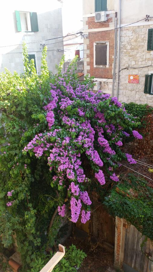 Fairy Of The Seas Apartments Σπλιτ Εξωτερικό φωτογραφία